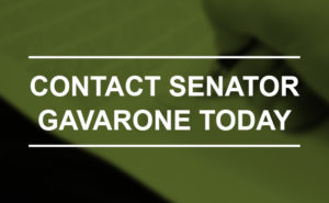 Senator Gavarone